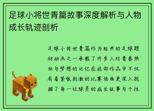 足球小将世青篇故事深度解析与人物成长轨迹剖析